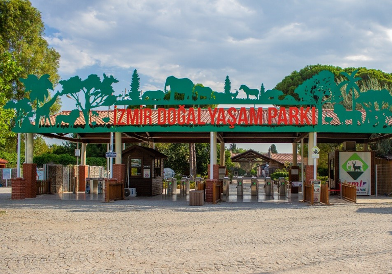 altyapı projeleri